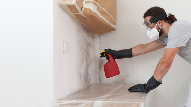 Professional Attic Mold Remediation technician working in Copiague, NY